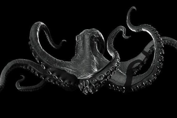 Kraken зеркало тор