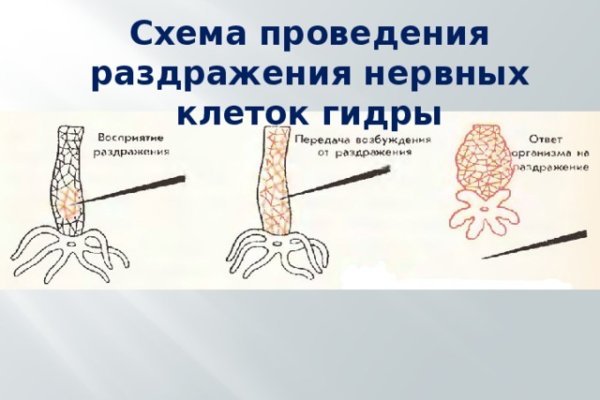 Kraken зеркало kr2web in